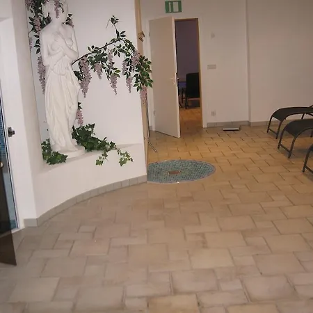 迈克西米利安酒店 梅拉诺